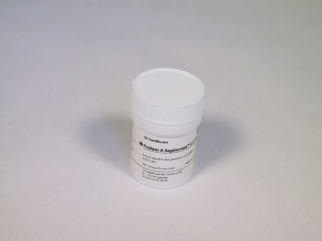 Cytiva Protein A Sepharose CL-4B Medium 500 mL | Buy Online | Cytiva