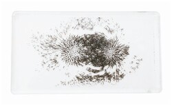 GSC Go Science Crazy Magnetic Field Demonstration