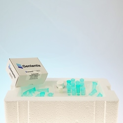 Genlantis&trade;&nbsp;TurboCells&trade; Competent Cells