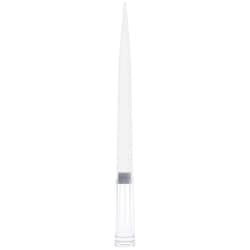 Globe Scientific Sterile Universal Filter Tips, Extended Length 1 to 1000 &mu;L | Buy Online | Globe Scientific | Fisher Scientific