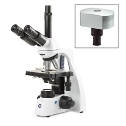 Globe Scientific Euromex bScope Binocular Compound Microscope:Microscopes:Compound