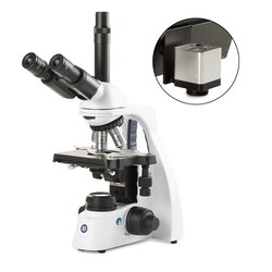 Globe Scientific Euromex bScope Binocular Compound Microscope:Microscopes:Compound
