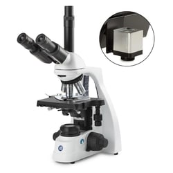 Globe Scientific Euromex bScope Binocular Compound Microscope:Microscopes:Compound