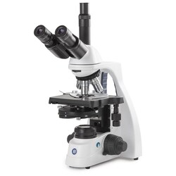 Globe Scientific Euromex bScope Binocular Compound Microscope:Microscopes:Compound