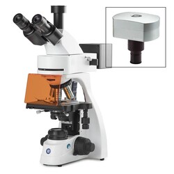 Globe Scientific Euromex bScope Binocular Compound Microscope:Microscopes:Compound