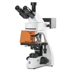 Globe Scientific Euromex bScope Binocular Compound Microscope:Microscopes:Compound