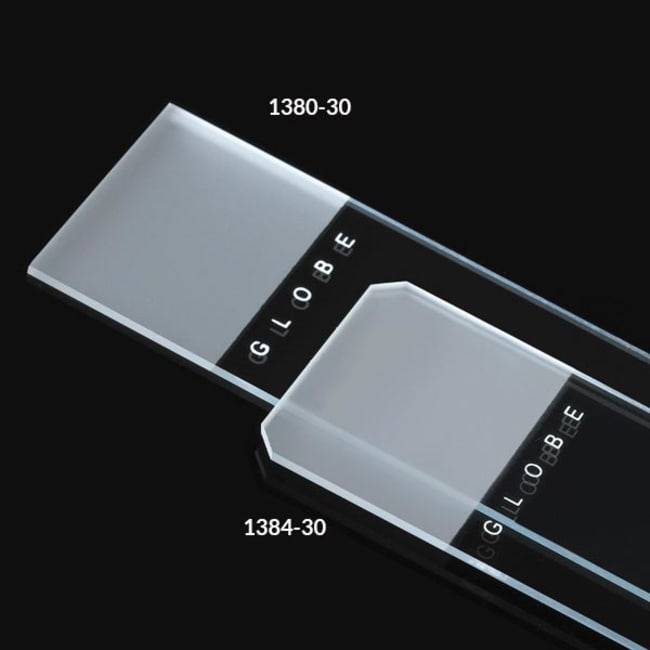 Globe Scientific General Purpose Microscope Slides, Frosted 1 End 1 Side, Ground Edges, Safety Corners, 25 X 75mm, Pre-Cleaned, 72/Box, 1440/CS