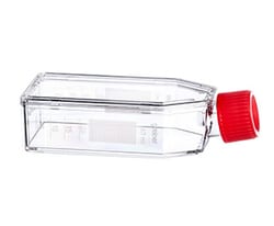 Greiner Bio-One CELLCOAT™ Collagen Type 1-Coated Cell Culture Flasks