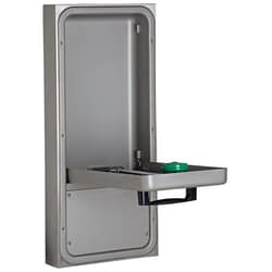 Haws&trade;&nbsp;ADA Surface Mount Eye/Face Wash