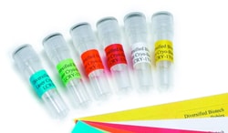 DiversifiedBiotech CRYO-BABIES™, CRYO-TAGS™ Sheet Labels - 0.5 mL Tubes