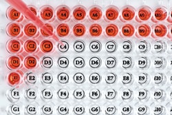 DiversifiedBiotech Well Orienters Well Orienter | Buy Online | DiversifiedBiotech | Fisher Scientific