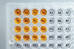 DiversifiedBiotech Well Orienters Well Orienter Stickers | Buy Online | DiversifiedBiotech | Fisher Scientific