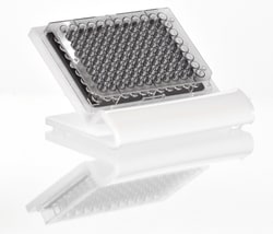 DiversifiedBiotech Well Plate Stands