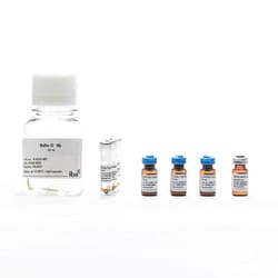 IBA Lifesciences Kit de démarrage de microbilles magnétiques CD8/CD62L/CD45RA Fab-TACS Humaine | Buy Online | IBA Lifesciences | Fisher Scientific