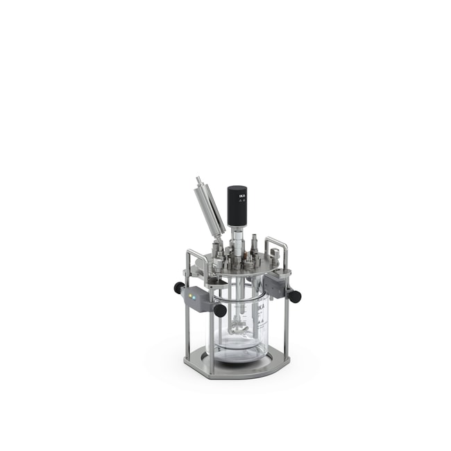 IKA HABITAT Ferment, Double-walled 1 L Package 1 L | Buy Online | IKA ...