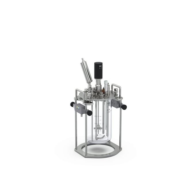 IKA HABITAT Ferment, Single-walled 2 L Package 2 L | Buy Online | IKA ...