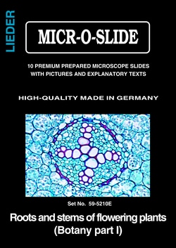 PREMIUM QUALITY Prepared Microscopy Slide Set: Phanerogams Part I