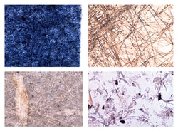 Johannes Lieder Types of Paper