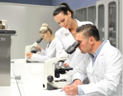 LABOMED Lx 300 LED Laboratory Microscope Head style: Binocular:Microscopes,