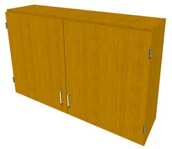 Fisherbrand&trade;&nbsp;Wood Wall Cabinet, 48 in. Wide
