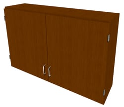 Fisherbrand&trade;&nbsp;Wood Wall Cabinet, 48 in. Wide