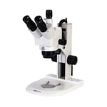 Fisherbrand™ Basic Track Stand Stereo Zoom Microscope