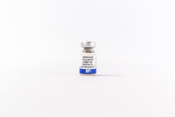 Bovine Albumin Rabbit anti-Bovine, HRP, Polyclonal, MP Biomedicals Anti-bovine