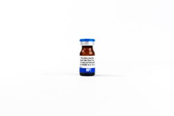 -Galactosidase Goat anti-None, Polyclonal, MP Biomedicals 2 mL | Buy Online | MP Biomedicals, Inc | Fisher Scientific