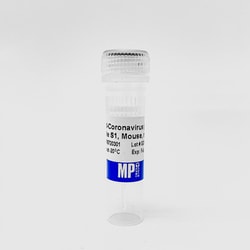 Anti-coronavirus (SARS-CoV-2) spike S1, mouse, mAb, MP Biomedicals Anti-coronavirus