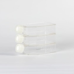 MP Biomedicals&trade;&nbsp;Cell Culture Flask, Vent Cap, TC-treated