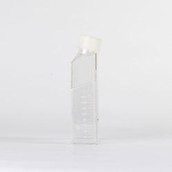 MP Biomedicals&trade;&nbsp;Cell Culture Flask, Vent Cap, TC-treated