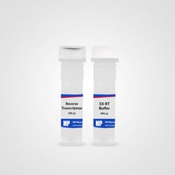 MP Biomedicals RapidScript RT Kit No. of Reactions: 100:PCR Equipment and