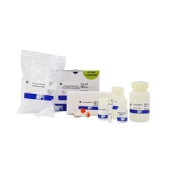 MP Biomedicals™ SPINeasy™ RNA Kit for Tissue