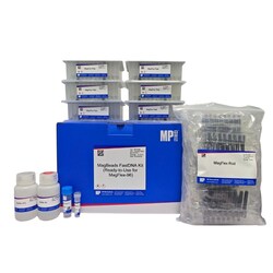 MP Biomedicals&nbsp;MagBeads FastDNA Kit
