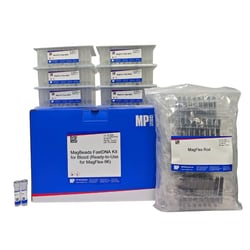 MP Biomedicals&nbsp;MagBeads FastDNA Kit for Blood