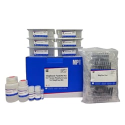 MP Biomedicals&nbsp;MagBeads FastDNA Kit for Feces