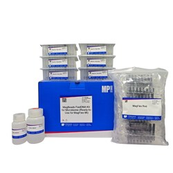 MP Biomedicals&nbsp;MagBeads FastDNA Kit for Microbiome