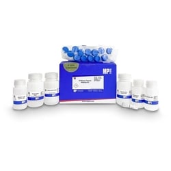 MP Biomedicals SPINeasy Plasmid Midiprep Kit