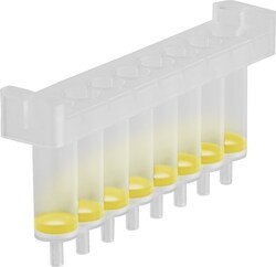 Macherey-Nagel NucleoSpin 8 PCR Clean-up, 8-well kit for PCR clean up 8 well binding strips, MN wash plate, rack of tube strips, buffers (formerly known as NucleoSpin&trade; 8 Extract II) Macherey-Nagel | Buy Online | Macherey-Nagel&trade; | Fisher Scientific