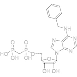 MedChemExpress PSB-12379 10 mg | Buy Online | MedChemExpress | Fisher Scientific