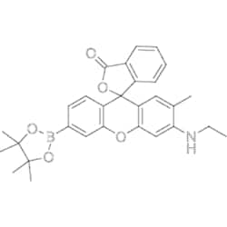 MedChemExpress NucPE1 5 mg | Buy Online | MedChemExpress | Fisher Scientific