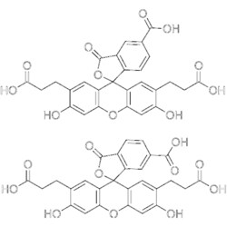 MedChemExpress BCECF 1 mg | Buy Online | MedChemExpress | Fisher Scientific