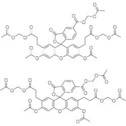 MedChemExpress BCECF-AM 1 mg | Buy Online | MedChemExpress | Fisher Scientific