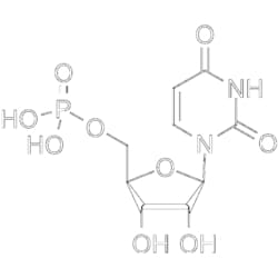 MedChemExpress Uridine 5'-monophosphate 100 mg | Buy Online | MedChemExpress | Fisher Scientific