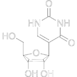 MedChemExpress Pseudouridine 5 mg | Buy Online | MedChemExpress | Fisher Scientific