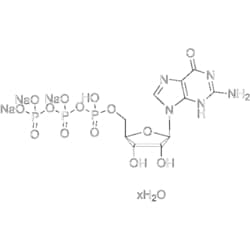 MedChemExpress Guanosine 5'-triphosphate trisodium salt hydrate 1 g | Buy Online | MedChemExpress | Fisher Scientific