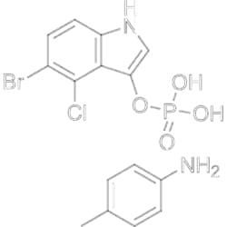 MedChemExpress BCIP 100 mg | Buy Online | MedChemExpress | Fisher Scientific