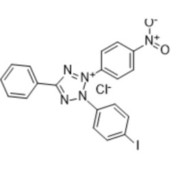 MedChemExpress INT 1 g | Buy Online | MedChemExpress | Fisher Scientific