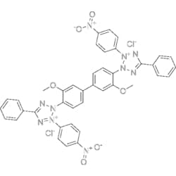 MedChemExpress Nitro blue tetrazolium chloride 500 mg | Buy Online | MedChemExpress | Fisher Scientific