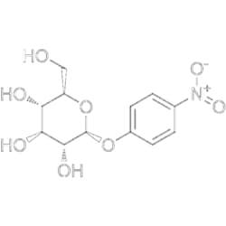 MedChemExpress PNPG 1 g | Buy Online | MedChemExpress | Fisher Scientific